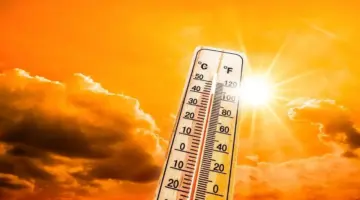 درجات الحرارة غدًا.. طقس شديد الحرارة رطب نهارًا والقاهرة 34 -جريدة المال